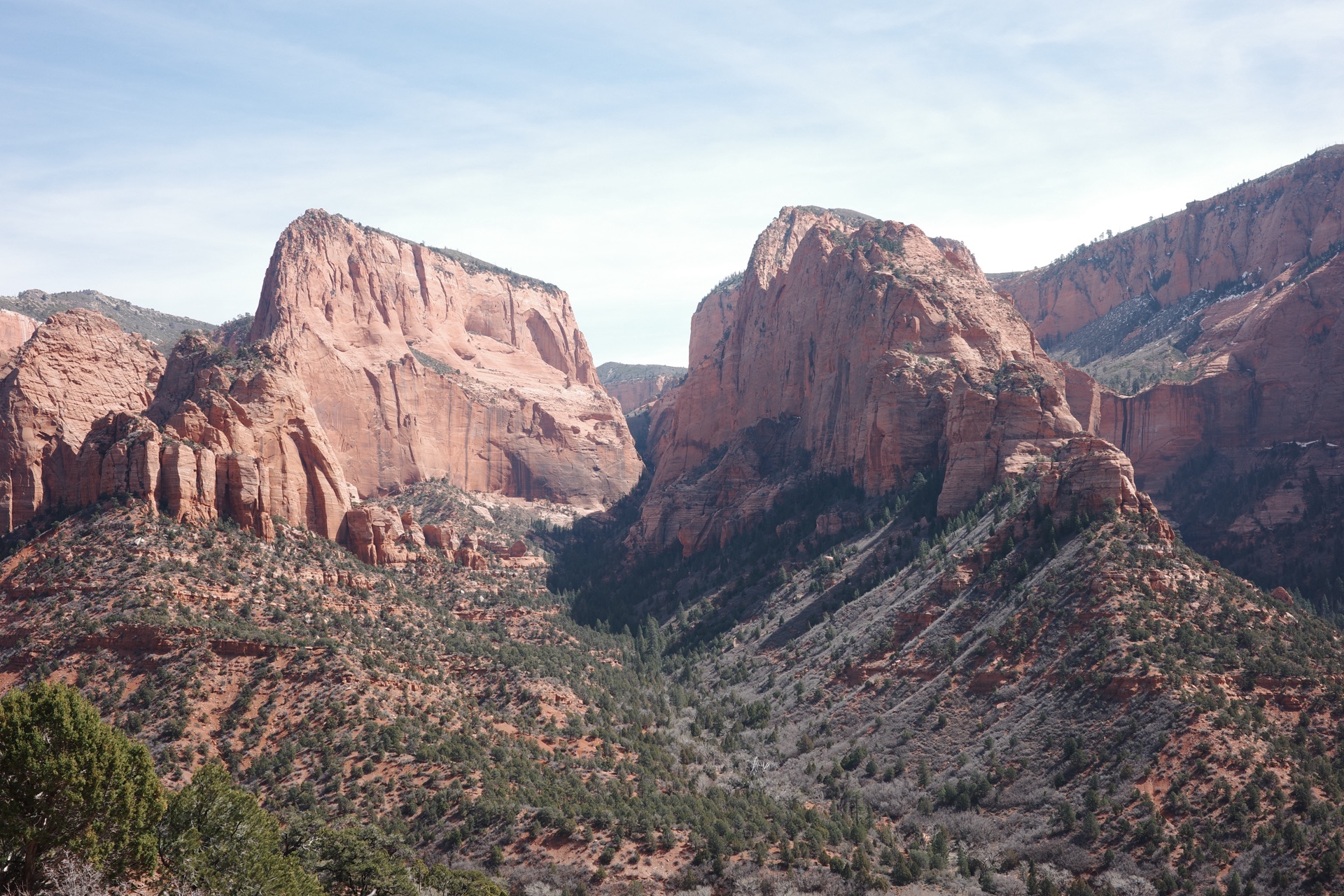 Zion NP, Utah — photo 15